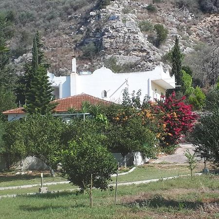 Villa Dunes 350M From The Sandy Beach Kalogria  Exterior foto