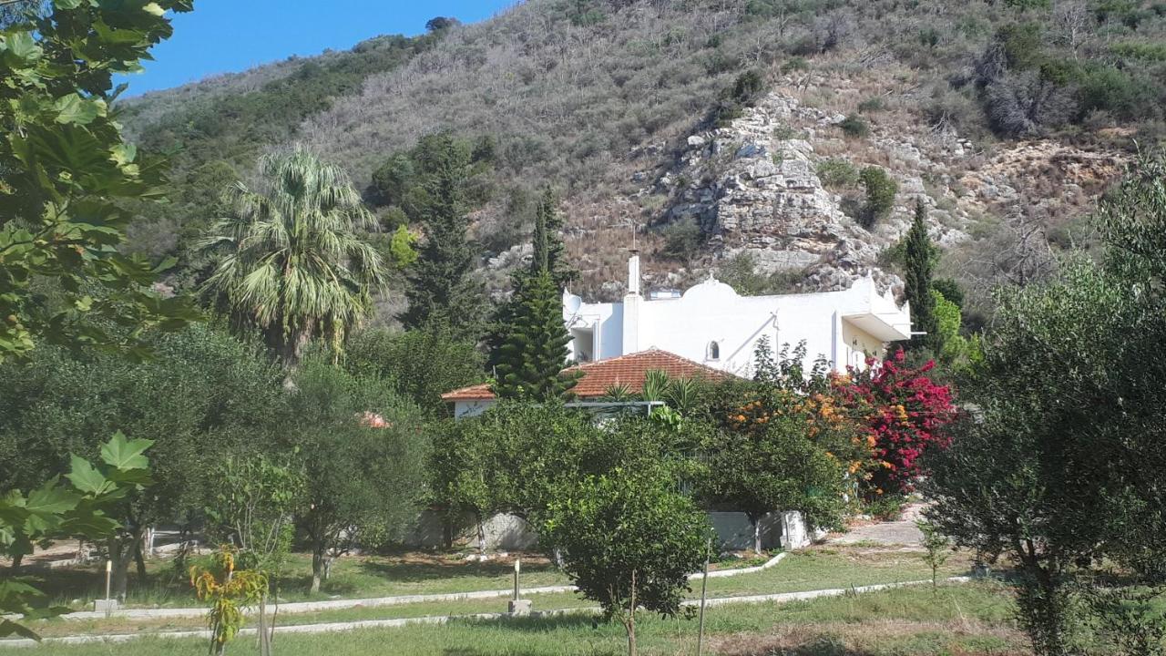 Villa Dunes 350M From The Sandy Beach Kalogria  Exterior foto