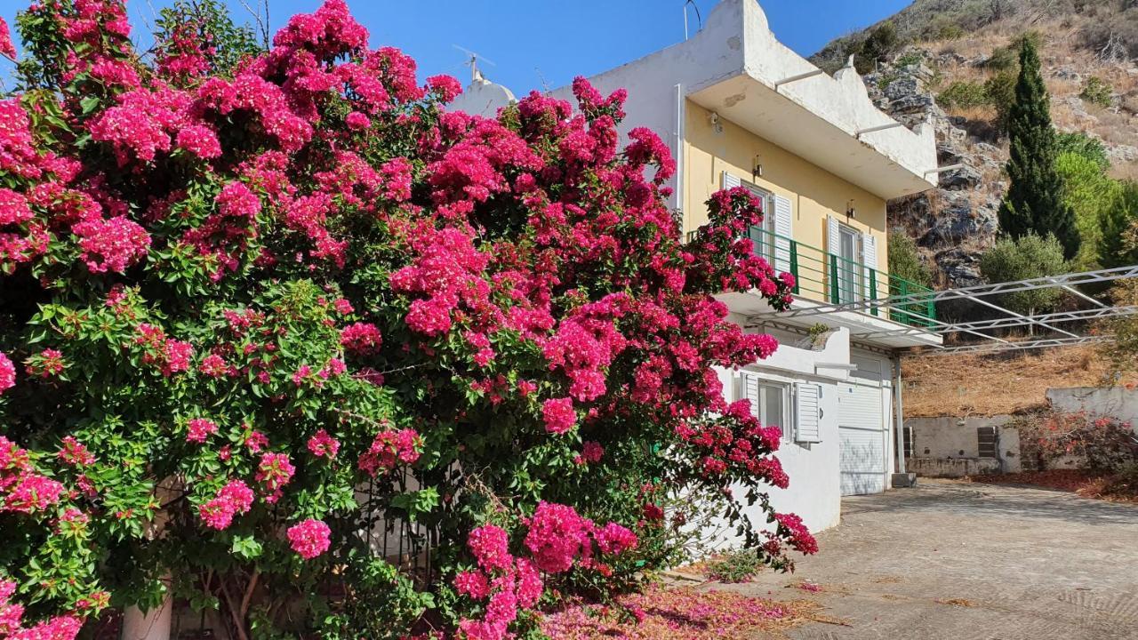 Villa Dunes 350M From The Sandy Beach Kalogria  Exterior foto